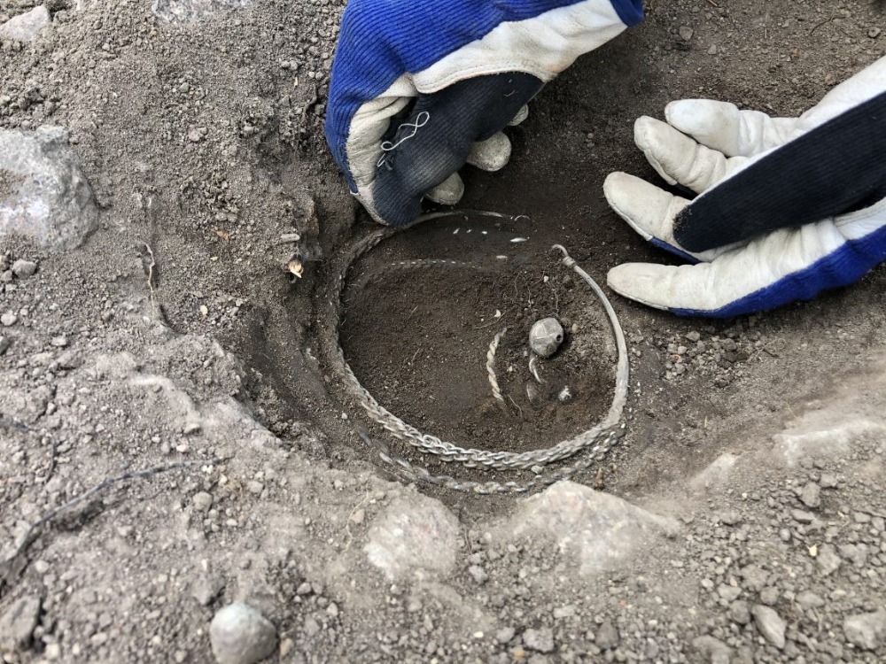 Archäologen entdecken seltenen Wikingerschatz mit Hilfe eines Metalldetektors